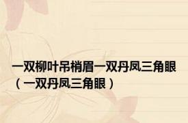 一双柳叶吊梢眉一双丹凤三角眼（一双丹凤三角眼）