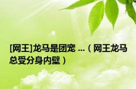 [网王]龙马是团宠 ...（网王龙马总受分身内壁）