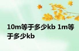 10m等于多少kb 1m等于多少kb 