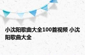 小沈阳歌曲大全100首视频 小沈阳歌曲大全 