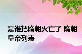 是谁把隋朝灭亡了 隋朝皇帝列表 