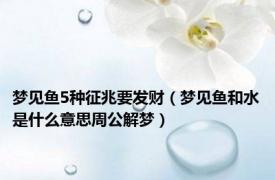 梦见鱼5种征兆要发财（梦见鱼和水是什么意思周公解梦）