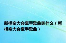 新相亲大会牵手歌曲叫什么（新相亲大会牵手歌曲）