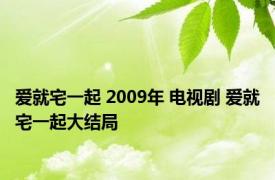 爱就宅一起 2009年 电视剧 爱就宅一起大结局 