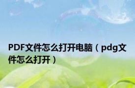 PDF文件怎么打开电脑（pdg文件怎么打开）