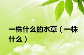 一株什么的水草（一株什么）