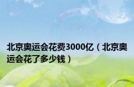 北京奥运会花费3000亿（北京奥运会花了多少钱）