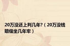 20万没还上判几年?（20万没钱赔偿坐几年牢）