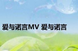 爱与诺言MV 爱与诺言 