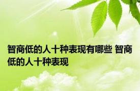 智商低的人十种表现有哪些 智商低的人十种表现 