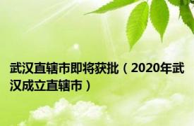 武汉直辖市即将获批（2020年武汉成立直辖市）