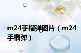 m24手榴弹图片（m24手榴弹）