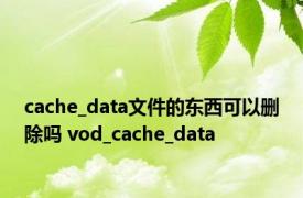 cache_data文件的东西可以删除吗 vod_cache_data 