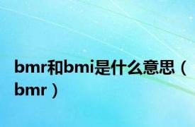 bmr和bmi是什么意思（bmr）