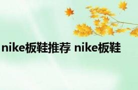 nike板鞋推荐 nike板鞋 