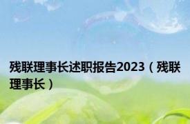 残联理事长述职报告2023（残联理事长）