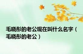 毛晓彤的老公现在叫什么名字（毛晓彤的老公）