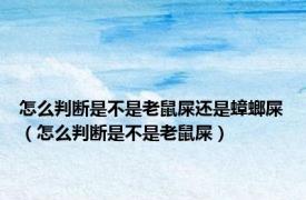 怎么判断是不是老鼠屎还是蟑螂屎（怎么判断是不是老鼠屎）