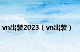 vn出装2023（vn出装）