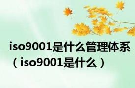 iso9001是什么管理体系（iso9001是什么）