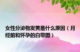 女性分泌物发黄是什么原因（月经前和怀孕的白带图）