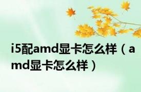 i5配amd显卡怎么样（amd显卡怎么样）