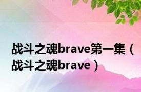 战斗之魂brave第一集（战斗之魂brave）