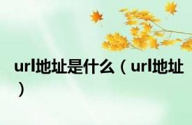 url地址是什么（url地址）