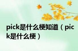 pick是什么梗知道（pick是什么梗）