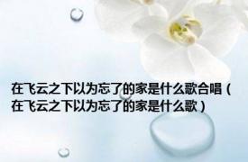 在飞云之下以为忘了的家是什么歌合唱（在飞云之下以为忘了的家是什么歌）