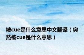 被cue是什么意思中文翻译（突然被cue是什么意思）