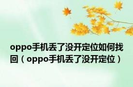 oppo手机丢了没开定位如何找回（oppo手机丢了没开定位）