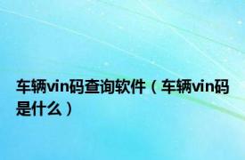 车辆vin码查询软件（车辆vin码是什么）