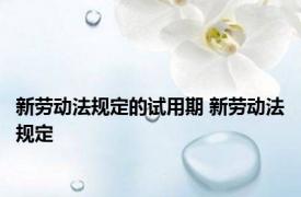 新劳动法规定的试用期 新劳动法规定 