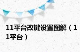 11平台改键设置图解（11平台）