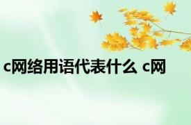 c网络用语代表什么 c网 