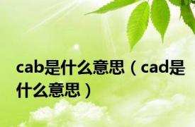 cab是什么意思（cad是什么意思）