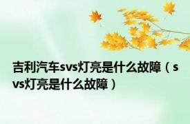 吉利汽车svs灯亮是什么故障（svs灯亮是什么故障）