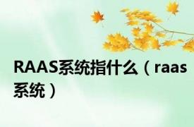 RAAS系统指什么（raas系统）