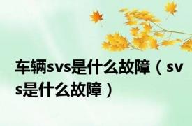 车辆svs是什么故障（svs是什么故障）