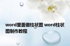 word里面做柱状图 word柱状图制作教程 