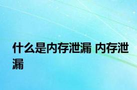 什么是内存泄漏 内存泄漏 