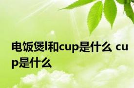 电饭煲l和cup是什么 cup是什么 