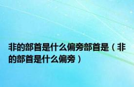 非的部首是什么偏旁部首是（非的部首是什么偏旁）