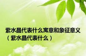 紫水晶代表什么寓意和象征意义（紫水晶代表什么）