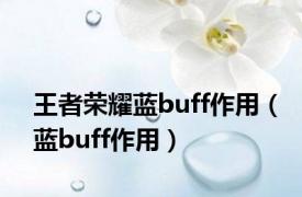 王者荣耀蓝buff作用（蓝buff作用）