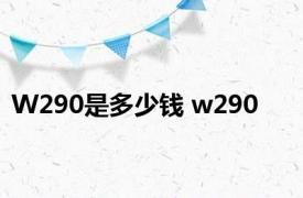 W290是多少钱 w290 