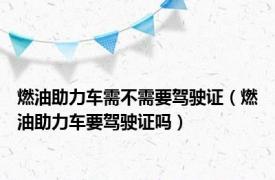 燃油助力车需不需要驾驶证（燃油助力车要驾驶证吗）