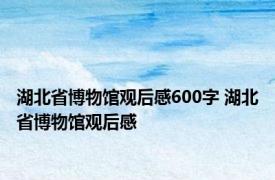 湖北省博物馆观后感600字 湖北省博物馆观后感 