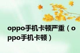 oppo手机卡顿严重（oppo手机卡顿）